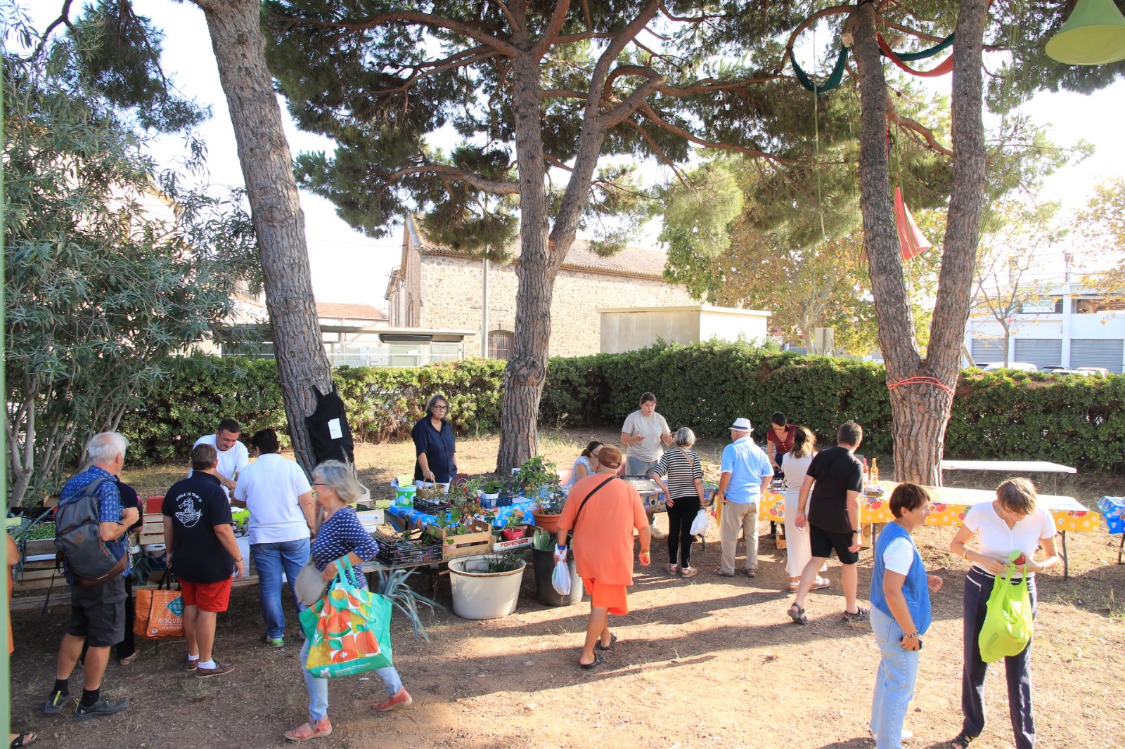 Rencontre nationale des épiceries participatives à Sète le 19 & 20 octobre